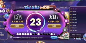 Hiểu đúng về Tài xỉu MD5 trong tài xỉu online